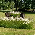 Auf Idyllischer Hofanlage In Lippe * ブロムベルク