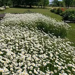 アパート Auf Idyllischer Hofanlage In Lippe