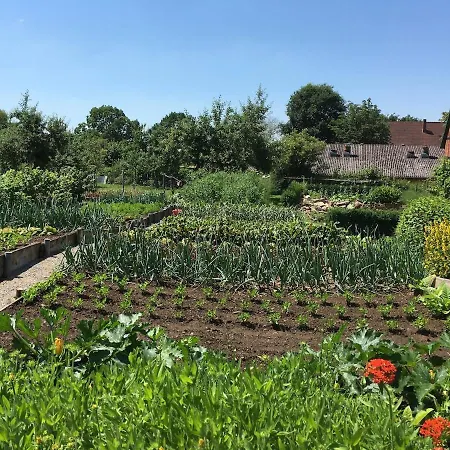 Auf Idyllischer Hofanlage In Lippe Blomberg (North Rhine-Westphalia)