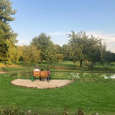 Auf Idyllischer Hofanlage In Lippe * Blomberg (North Rhine-Westphalia)