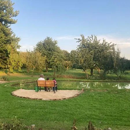 Auf Idyllischer Hofanlage In Lippe * בלומברג