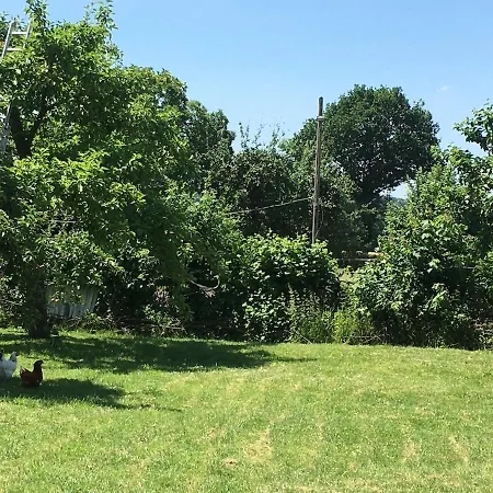 Auf Idyllischer Hofanlage In Lippe *