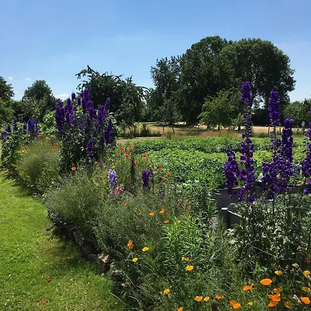 Auf Idyllischer Hofanlage In Lippe *