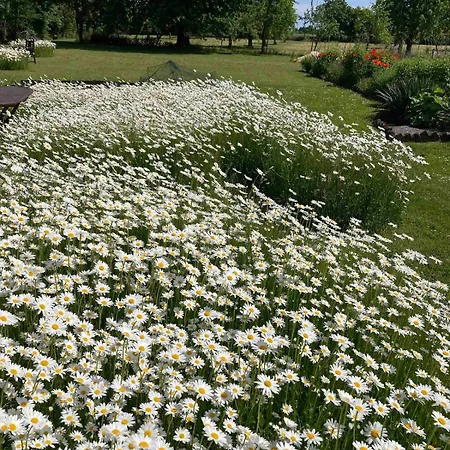 Appartamento Auf Idyllischer Hofanlage In Lippe