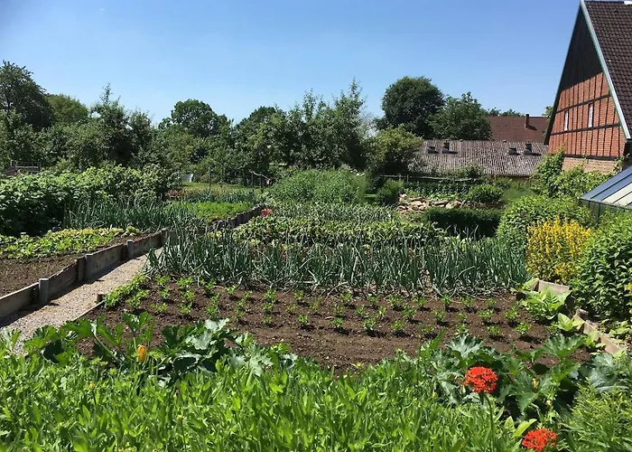 Auf Idyllischer Hofanlage In Lippe Blomberg (North Rhine-Westphalia)