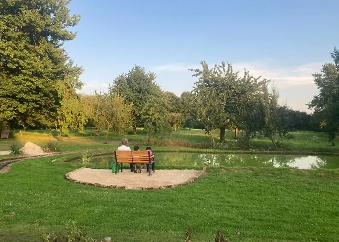 Auf Idyllischer Hofanlage In Lippe * 布隆贝格