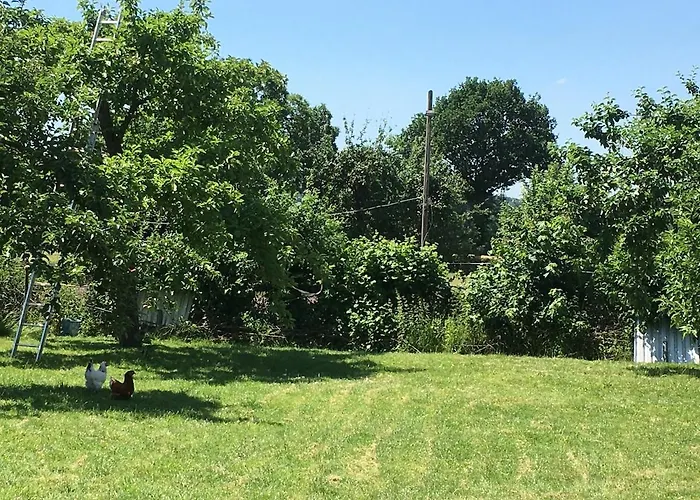 Auf Idyllischer Hofanlage In Lippe *