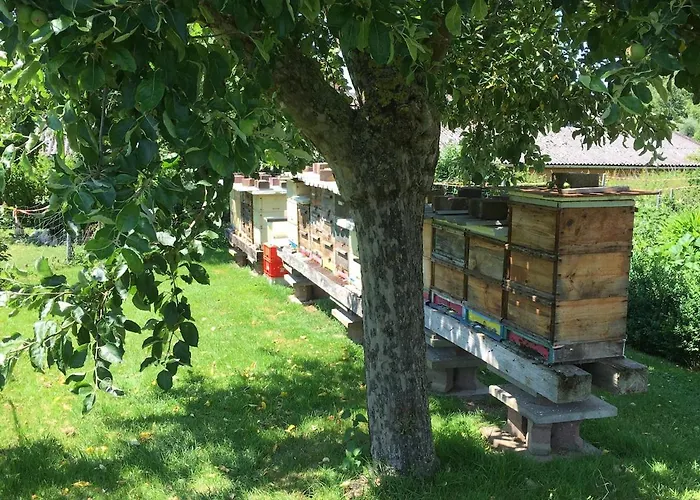 Auf Idyllischer Hofanlage In Lippe 公寓