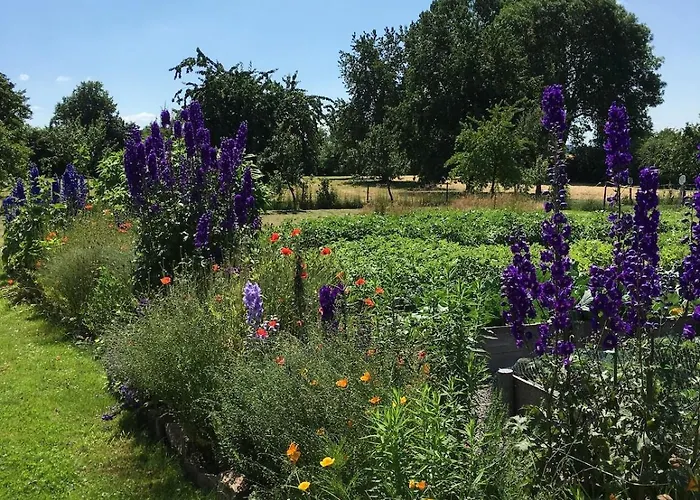 Auf Idyllischer Hofanlage In Lippe *