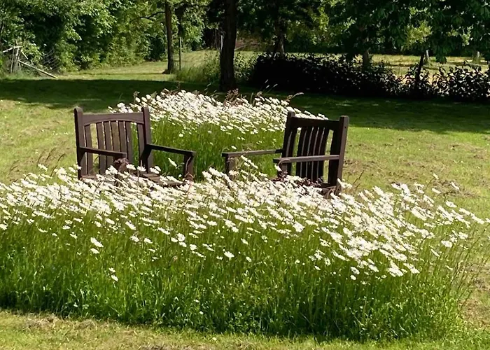 Auf Idyllischer Hofanlage In Lippe * Blomberg (North Rhine-Westphalia)