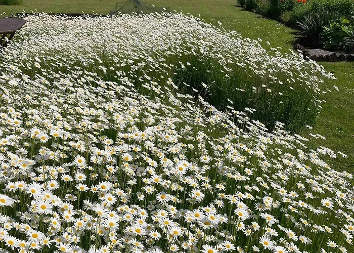 Apartment Auf Idyllischer Hofanlage In Lippe